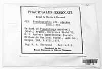 Image Associated With the Occurence
